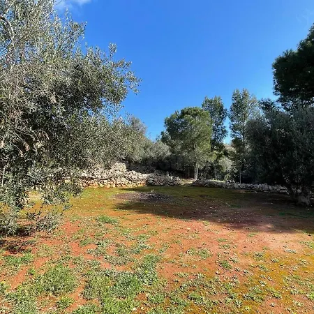 Parco Pozzo Pasulo * Torre Vado